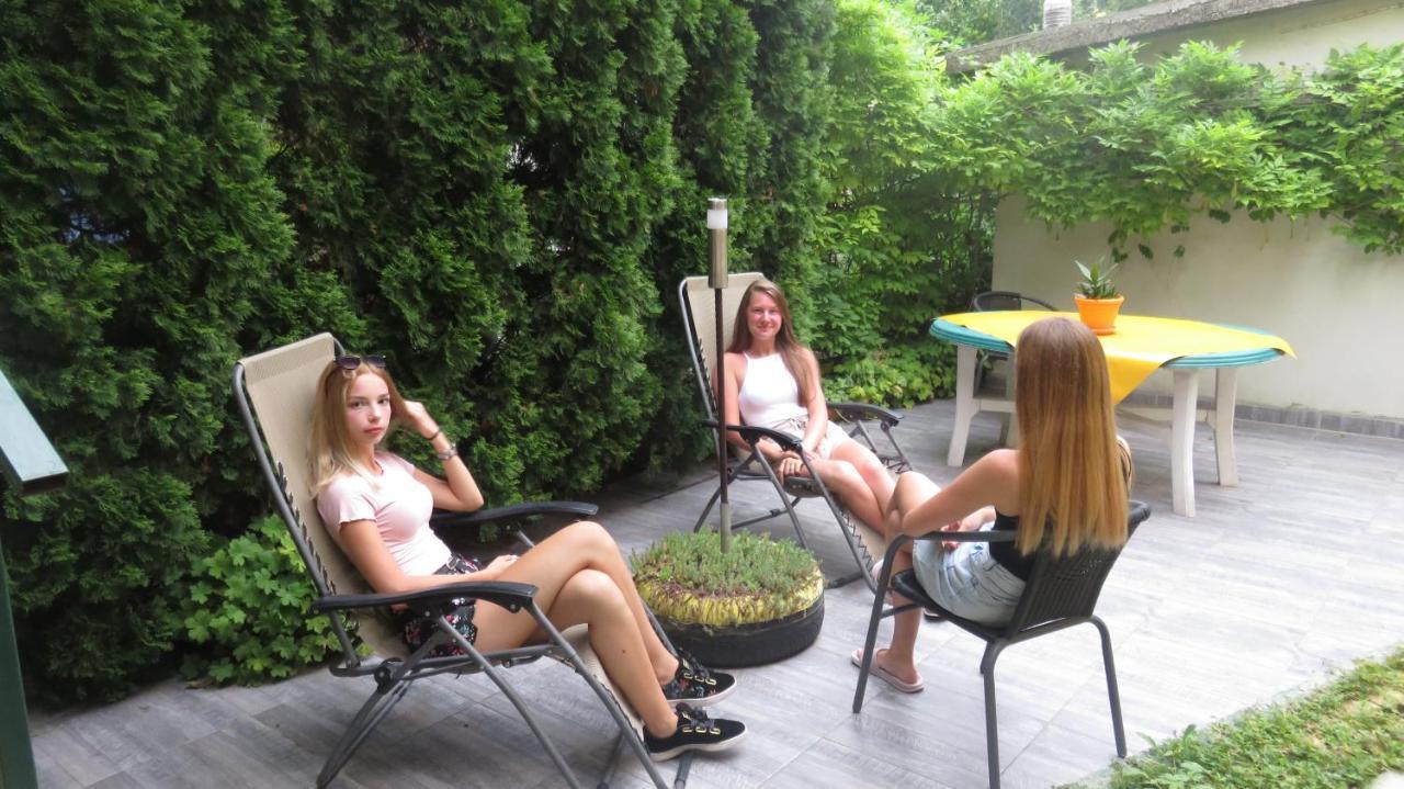 Guest House Pavlovic Soko Banja Bagian luar foto