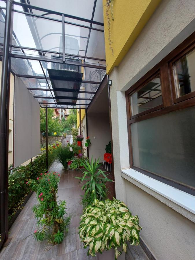Guest House Pavlovic Soko Banja Bagian luar foto